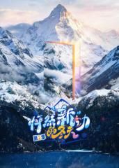 怦然新动的冬天第二季(全集)