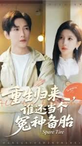 重生归来谁还当个冤种备胎(全集)