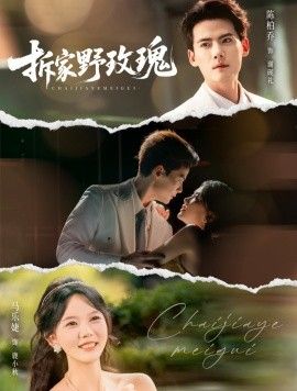 拆家野玫瑰(全集)